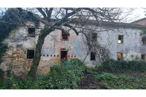 Farm i Assafarge e Antanhol, Coimbra, Assafarge e Antanhol - € 228.000 | Ref: QNT_75V_MV - foto 25