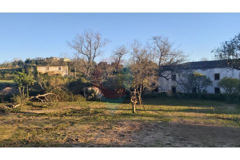 Farm i Assafarge e Antanhol, Coimbra, Assafarge e Antanhol - € 228.000 | Ref: QNT_75V_MV - foto 34