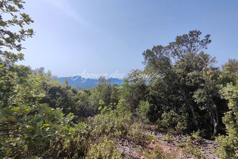 Helårsgrund i Tavernes, Var, Tavernes - € 11.500 | Ref: 1510 - foto 3