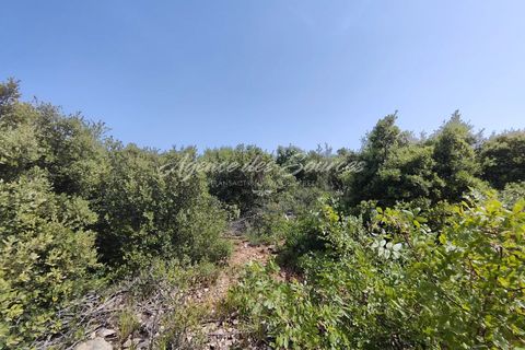 Helårsgrund i Tavernes, Var, Tavernes - € 11.500 | Ref: 1510 - foto 2