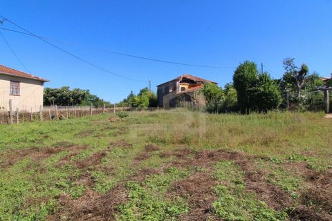Villa i Ribeirao, Braga, Ribeirao - € 200.000 | Ref: CAS_140 - foto 4