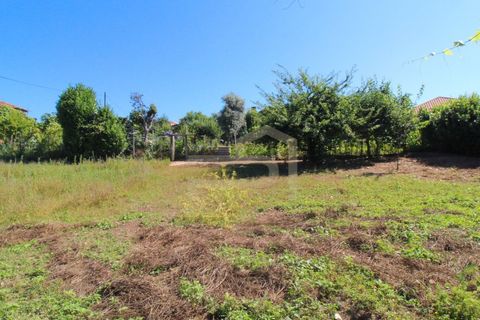 Villa i Ribeirao, Braga, Ribeirao - € 200.000 | Ref: CAS_140 - foto 5