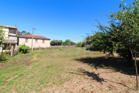 Villa i Ribeirao, Braga, Ribeirao - € 200.000 | Ref: CAS_140 - foto 7