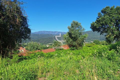 Terra a Ponte de Lima, Viana do Castelo, Ponte de Lima - € 75.000 | Ref: AV6020 - foto 3