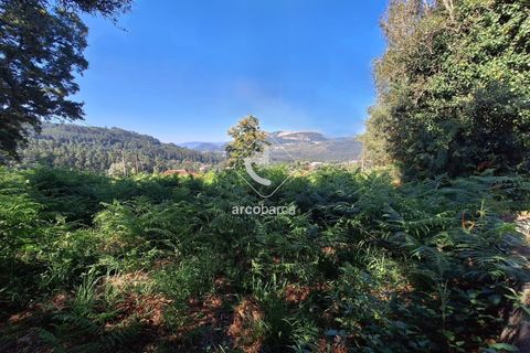 Terra a Ponte de Lima, Viana do Castelo, Ponte de Lima - € 75.000 | Ref: AV6020 - foto 4