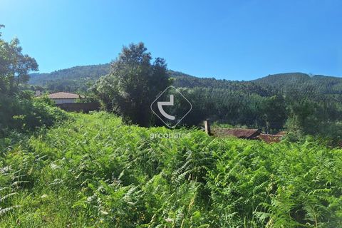 Terra a Ponte de Lima, Viana do Castelo, Ponte de Lima - € 75.000 | Ref: AV6020 - foto 5