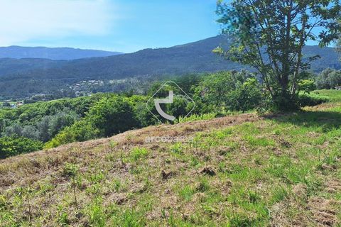 Terra a Ponte de Lima, Viana do Castelo, Ponte de Lima - € 75.000 | Ref: AV6020 - foto 7
