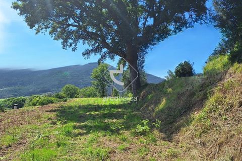 Terra a Ponte de Lima, Viana do Castelo, Ponte de Lima - € 75.000 | Ref: AV6020 - foto 8