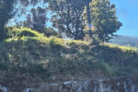 Terra a Ponte de Lima, Viana do Castelo, Ponte de Lima - € 75.000 | Ref: AV6020 - foto 9