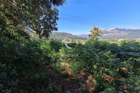 Terra a Ponte de Lima, Viana do Castelo, Ponte de Lima - € 75.000 | Ref: AV6020 - foto 11