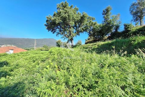 Terra a Ponte de Lima, Viana do Castelo, Ponte de Lima - € 75.000 | Ref: AV6020 - foto 12