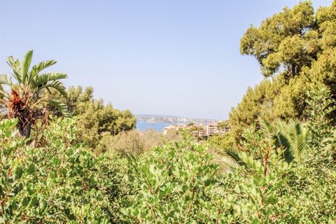 Byhus i Bendinat, Mallorca, Bendinat - € 5.900.000 | Ref: SAE 1719 - foto 50