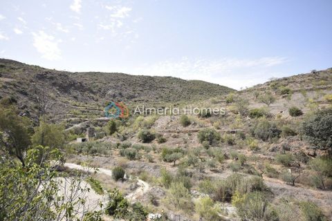 Landejendom i Albanchez, Almeria, Albanchez - € 80.500 | Ref: AH-13802 - foto 15