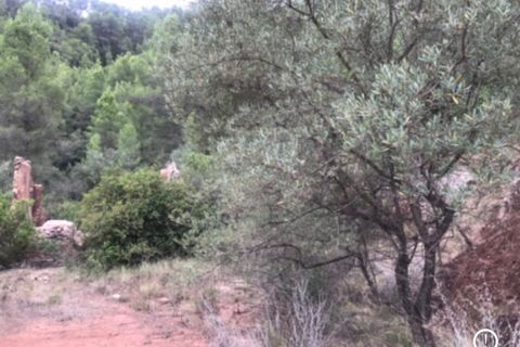 Finca i Benifallet, Tarragona, Benifallet - € 18.000 | Ref: Ju - foto 5
