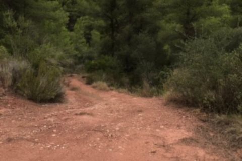 Finca i Benifallet, Tarragona, Benifallet - € 18.000 | Ref: Ju - foto 3