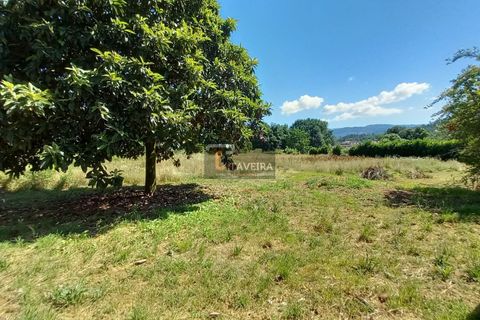 Villa i Arcos de Valdevez, Viana do Castelo, Arcos de Valdevez - € 510.000 | Ref: 2303 - foto 32