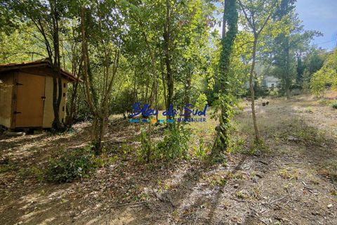 Terra a Villerach, Pyrenees-Orientales, Villerach - € 56.000 | Ref: 2458-BLEUDUSUD2 - foto 3