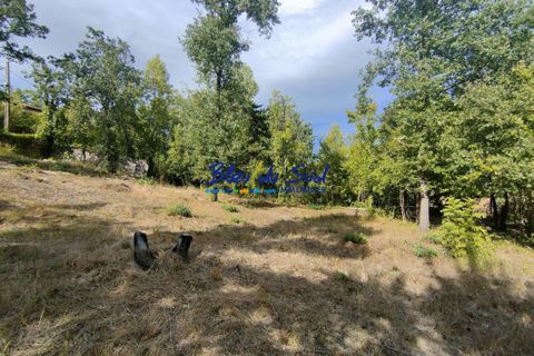 Terra a Villerach, Pyrenees-Orientales, Villerach - € 56.000 | Ref: 2458-BLEUDUSUD2 - foto 7
