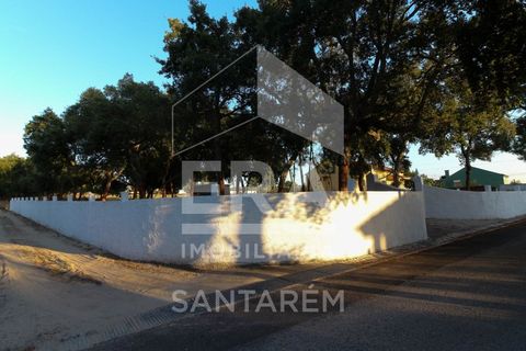 Terra a Chamusca, Santarem, Chamusca - € 42.000 | Ref: 8577 - foto 4