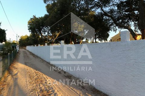 Terra a Chamusca, Santarem, Chamusca - € 42.000 | Ref: 8577 - foto 5