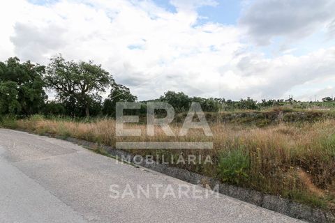Helårsgrund i Chamusca, Santarem, Chamusca - € 30.000 | Ref: 8441 - foto 2