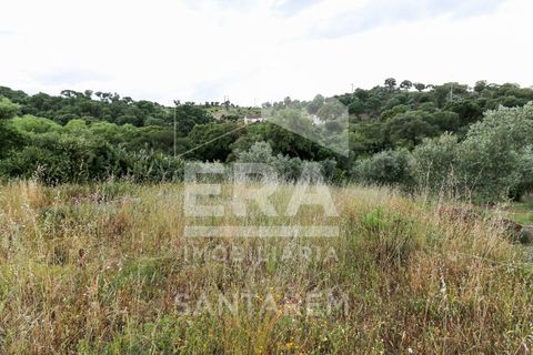 Helårsgrund i Chamusca, Santarem, Chamusca - € 30.000 | Ref: 8441 - foto 3