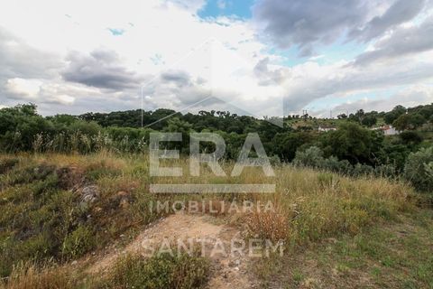 Helårsgrund i Chamusca, Santarem, Chamusca - € 30.000 | Ref: 8441 - foto 4