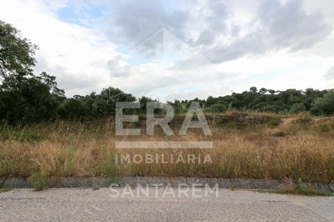 Helårsgrund i Chamusca, Santarem, Chamusca - € 30.000 | Ref: 8441 - foto 5