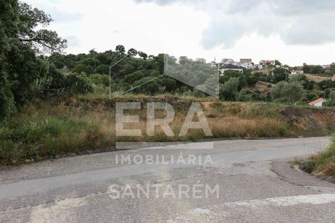 Helårsgrund i Chamusca, Santarem, Chamusca - € 30.000 | Ref: 8441 - foto 6