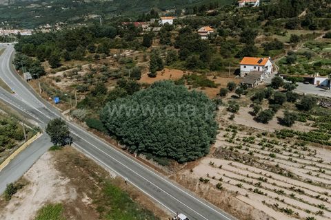Helårsgrund i Covilha, Castelo Branco, Covilha - € 53.000 | Ref: 111240107 - foto 4