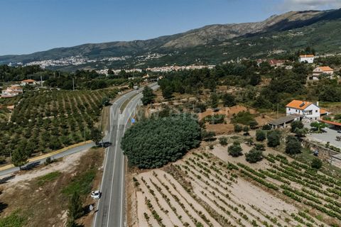 Helårsgrund i Covilha, Castelo Branco, Covilha - € 53.000 | Ref: 111240107 - foto 5