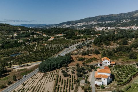Helårsgrund i Covilha, Castelo Branco, Covilha - € 53.000 | Ref: 111240107 - foto 6
