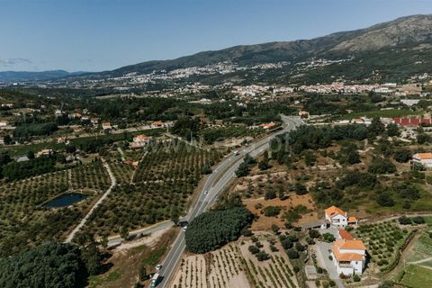 Helårsgrund i Covilha, Castelo Branco, Covilha - € 53.000 | Ref: 111240107 - foto 7