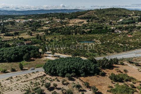 Helårsgrund i Covilha, Castelo Branco, Covilha - € 53.000 | Ref: 111240107 - foto 8