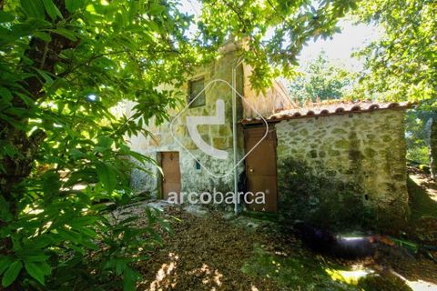 Byhus i Arcos de Valdevez, Viana do Castelo, Arcos de Valdevez - € 190.000 | Ref: AV6044 - foto 10