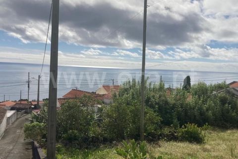 Helårsgrund i Lajes do Pico, Pico, Lajes do Pico - € 25.000 | Ref: 374230305 - foto 2