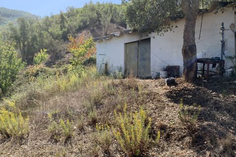 Villa i Aljezur, Faro, Aljezur - € 370.000 | Ref: Qt-319 - foto 5