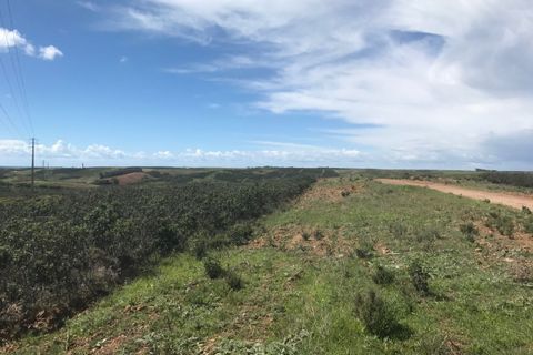 Helårsgrund i Sagres, Faro, Sagres - € 20.000 | Ref: T-146 - foto 2