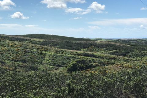 Helårsgrund i Sagres, Faro, Sagres - € 20.000 | Ref: T-146 - foto 6