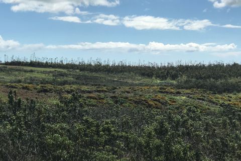 Helårsgrund i Sagres, Faro, Sagres - € 20.000 | Ref: T-146 - foto 7