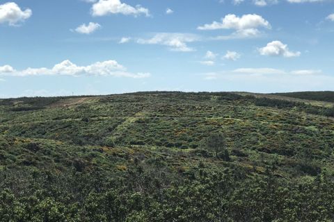 Helårsgrund i Sagres, Faro, Sagres - € 20.000 | Ref: T-146 - foto 8