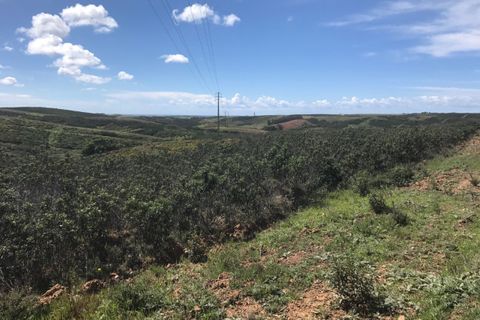 Helårsgrund i Sagres, Faro, Sagres - € 20.000 | Ref: T-146 - foto 3