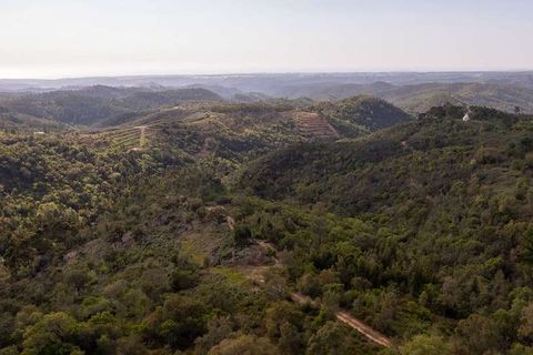 Villa i Odemira, Beja, Odemira - € 320.000 | Ref: Qt-560 - foto 1