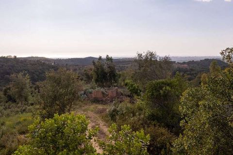 Villa i Odemira, Beja, Odemira - € 320.000 | Ref: Qt-560 - foto 2