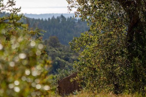 Villa i Odemira, Beja, Odemira - € 320.000 | Ref: Qt-560 - foto 6
