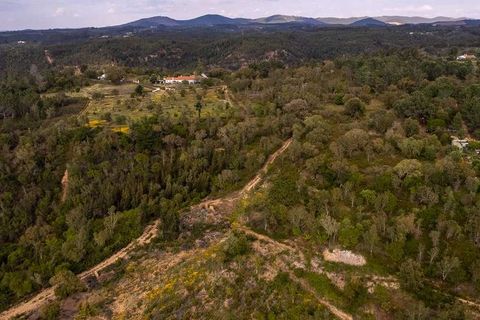 Villa i Odemira, Beja, Odemira - € 320.000 | Ref: Qt-560 - foto 7