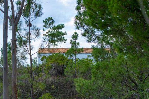 Villa a Aljezur, Faro, Aljezur - € 950.000 | Ref: Qt-626 - foto 5