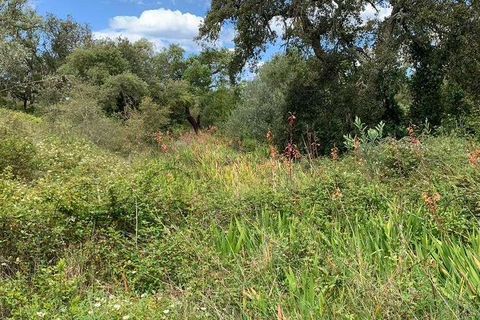 Villa a Odemira, Beja, Odemira - € 500.000 | Ref: Qt-552 - foto 6