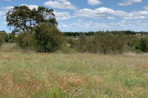 Villa a Odemira, Beja, Odemira - € 500.000 | Ref: Qt-552 - foto 7