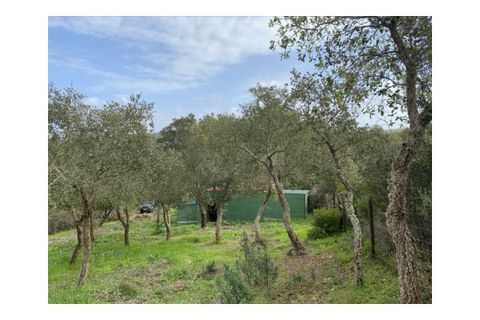 Terra a Aljezur, Faro, Aljezur - € 185.000 | Ref: T-467 - foto 7